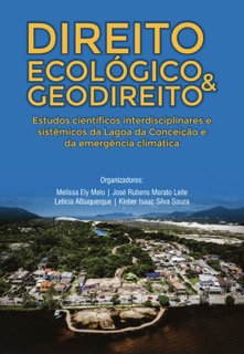 A contribuição do Supremo Tribunal Federal para a formação do Direito Ambiental Geográfico Brasileiro