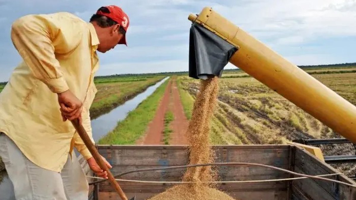 Tocantins aparece entre os 10 estados mais impactados por acordo entre União Europeia e Mercosul