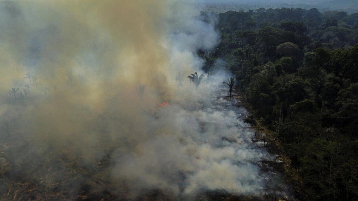 Às vésperas da COP 30, projeto de lei que será votado no Senado traz risco de legalizar grilagem, avaliam especialistas