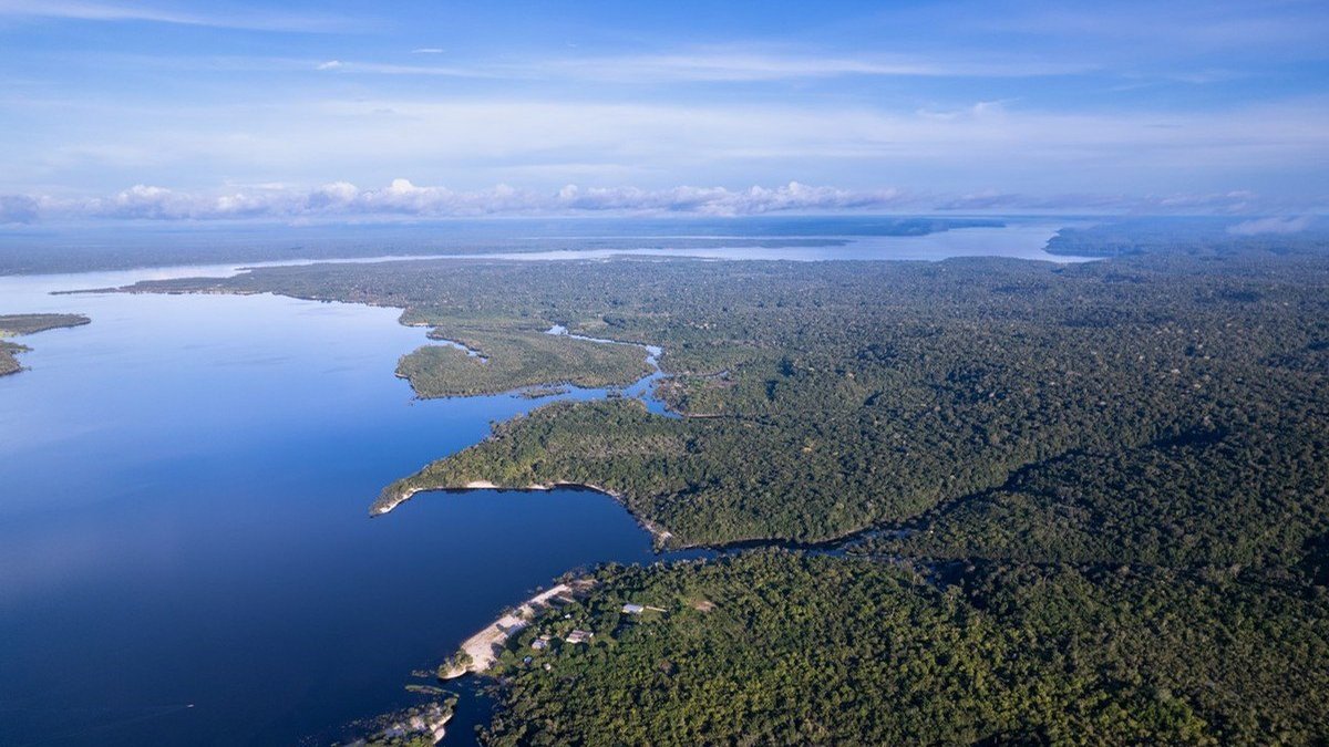 Sobreposição de terras trata projetos de crédito de carbono no país