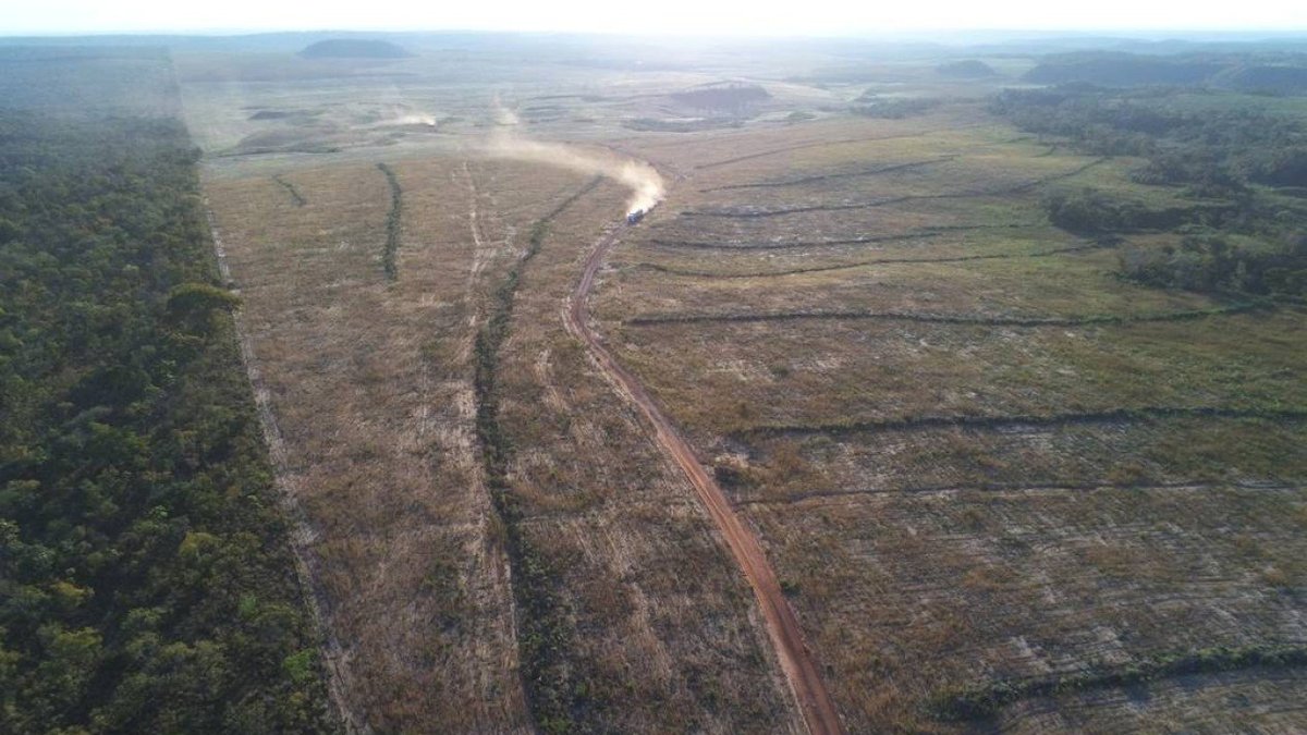 Proprietários rurais declaram 1 milhão de km² além de área passível de notificação